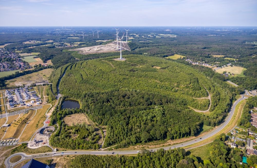 Dinslaken von oben - Windenergieanlage in einem Wald im Ortsteil Oberlohberg in Dinslaken im Bundesland Nordrhein-Westfalen, Deutschland