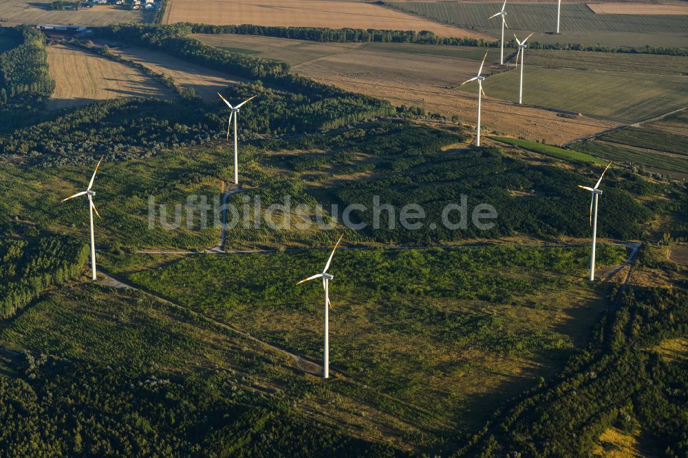 Stedten von oben - Windenergieanlagen (WEA) auf einem Feld in Stedten im Bundesland Sachsen-Anhalt, Deutschland