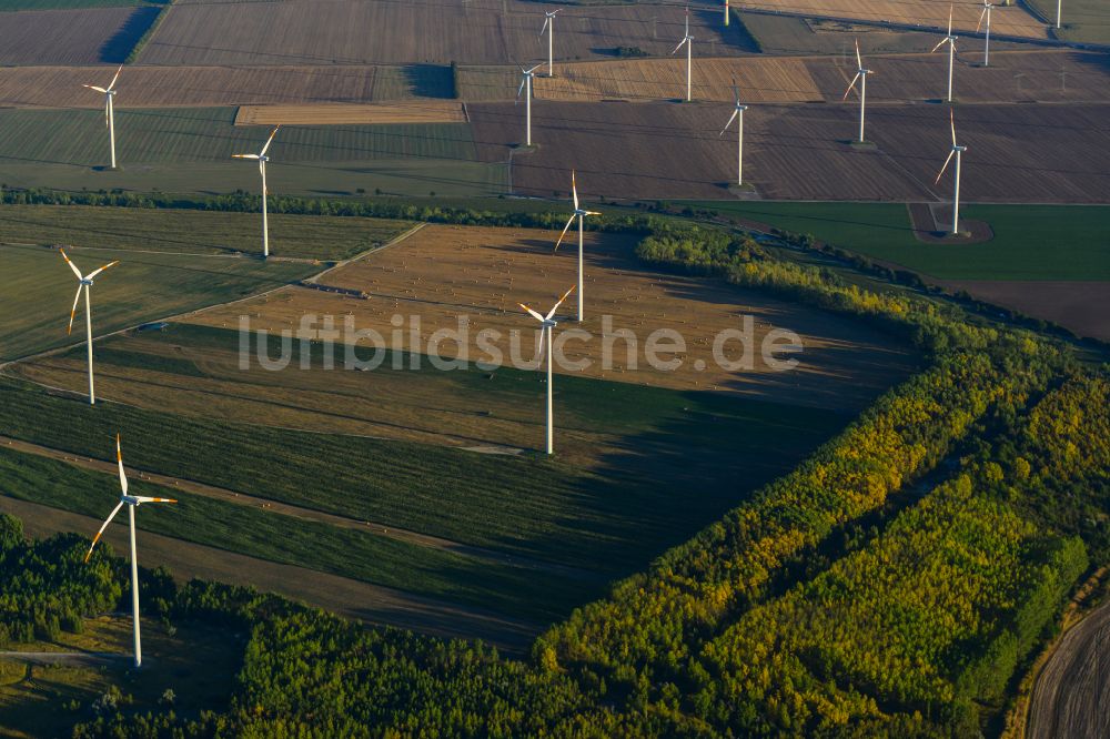 Stedten aus der Vogelperspektive: Windenergieanlagen (WEA) auf einem Feld in Stedten im Bundesland Sachsen-Anhalt, Deutschland