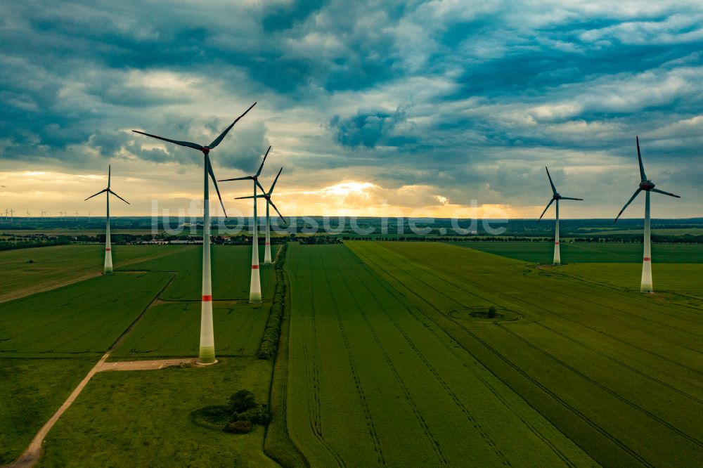 Luftbild Werder - Windenergieanlagen (WEA) auf einem Feld in Werder im Bundesland Mecklenburg-Vorpommern, Deutschland