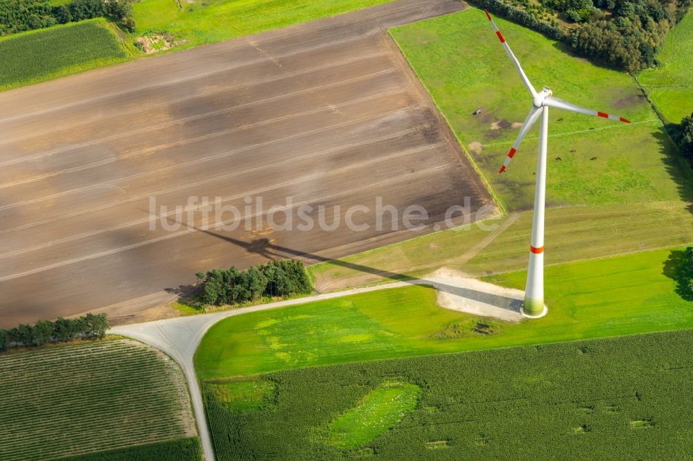 Deinste von oben - Windenergieanlagen (WEA) - Windrad- auf einem Feld in Deinste im Bundesland Niedersachsen, Deutschland