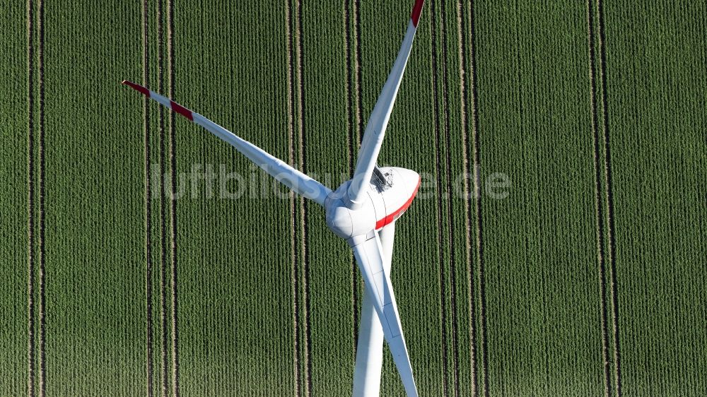 Luftaufnahme Hohenhameln - Windenergieanlagen (WEA) - Windrad- auf einem Feld in Hohenhameln im Bundesland Niedersachsen, Deutschland