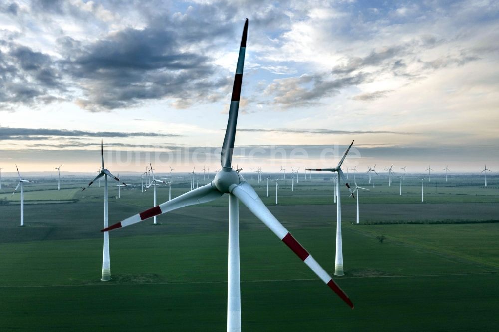 Luftaufnahme Markee - Windenergieanlagen (WEA) - Windrad- auf einem Feld in Markee im Bundesland Brandenburg, Deutschland