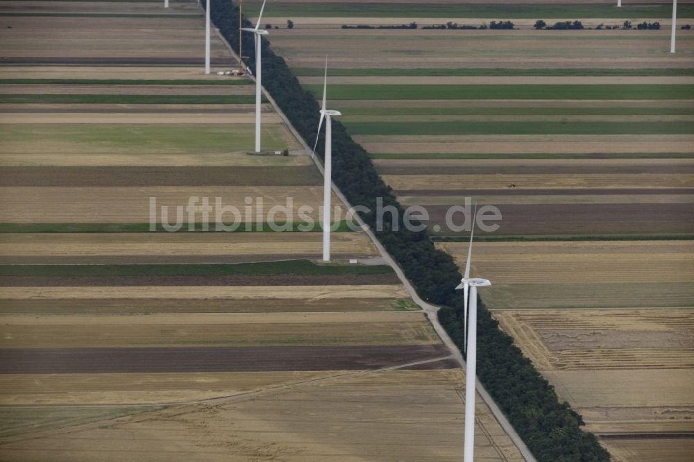 Luftaufnahme Parndorf - Windenergieanlagen (WEA) - Windrad- auf einem Feld in Parndorf in Burgenland, Österreich