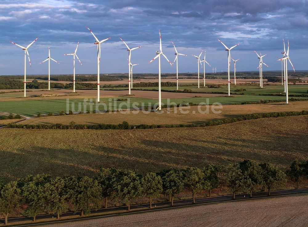 Petersdorf aus der Vogelperspektive: Windenergieanlagen (WEA) - Windrad- auf einem Feld in Petersdorf im Bundesland Brandenburg, Deutschland