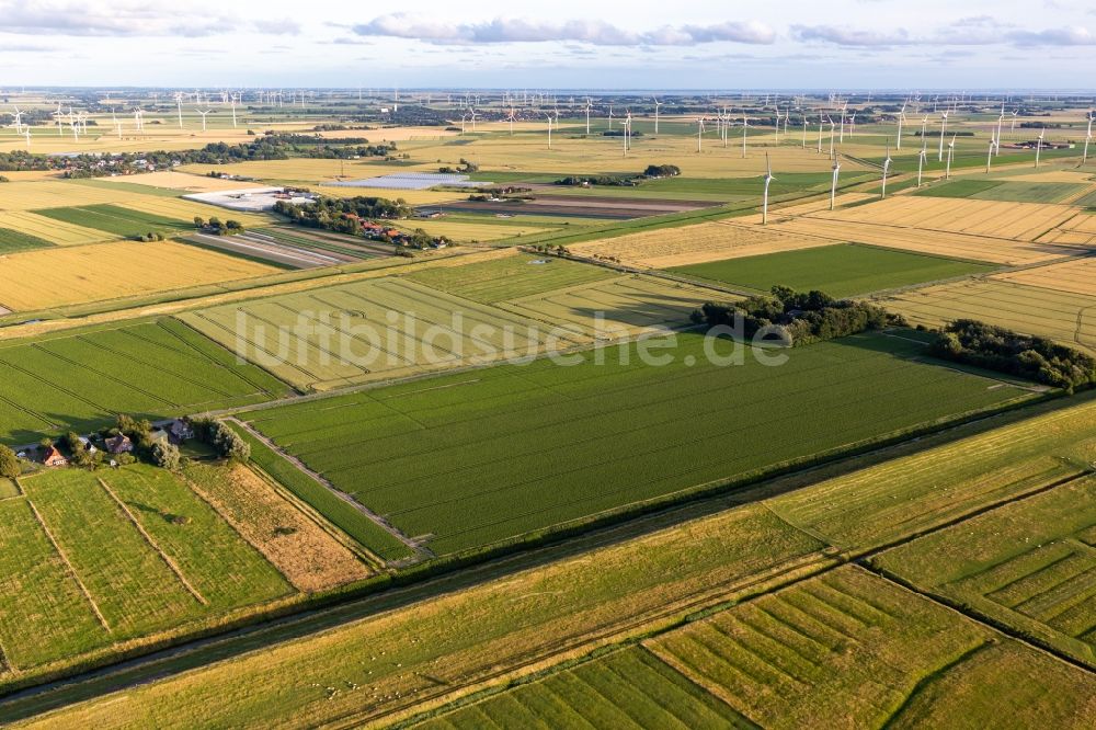 Luftbild Schülp - Windenergieanlagen (WEA) - Windrad- auf einem Feld in Schülp im Bundesland Schleswig-Holstein, Deutschland