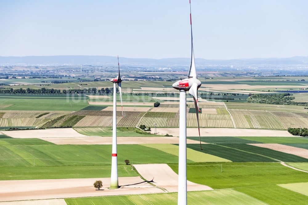 Wintersheim aus der Vogelperspektive: Windenergieanlagen (WEA) - Windrad- auf einem Feld in Wintersheim im Bundesland Rheinland-Pfalz, Deutschland