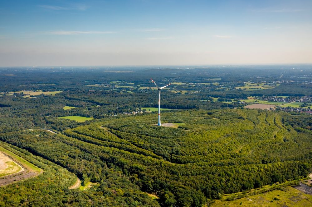 Luftaufnahme Dinslaken - Windenergieanlagen (WEA) - Windrad- in einem Waldstück in Dinslaken im Bundesland Nordrhein-Westfalen, Deutschland