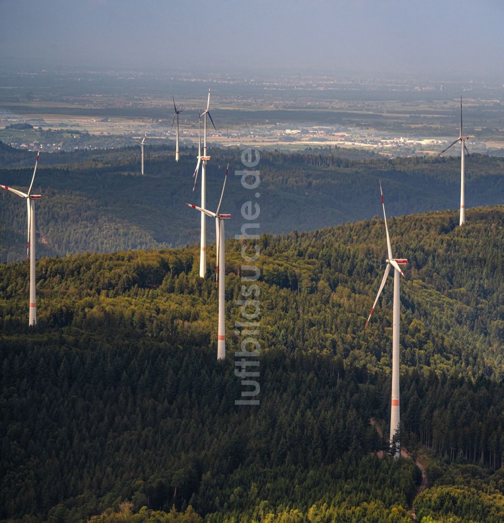 Ringsheim von oben - Windenergieanlagen (WEA) - Windrad- in einem Waldstück in Ettenheim-Dörlinbach im Bundesland Baden-Württemberg, Deutschland