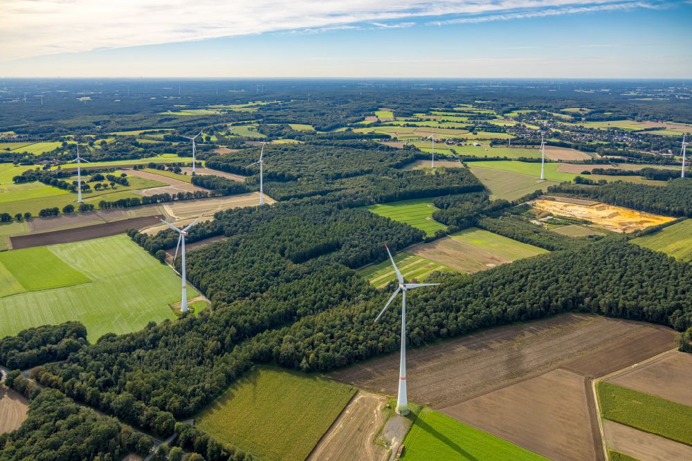Haltern am See von oben - Windenergieanlagen (WEA) - Windrad- in einem Waldstück in Haltern am See im Bundesland Nordrhein-Westfalen, Deutschland
