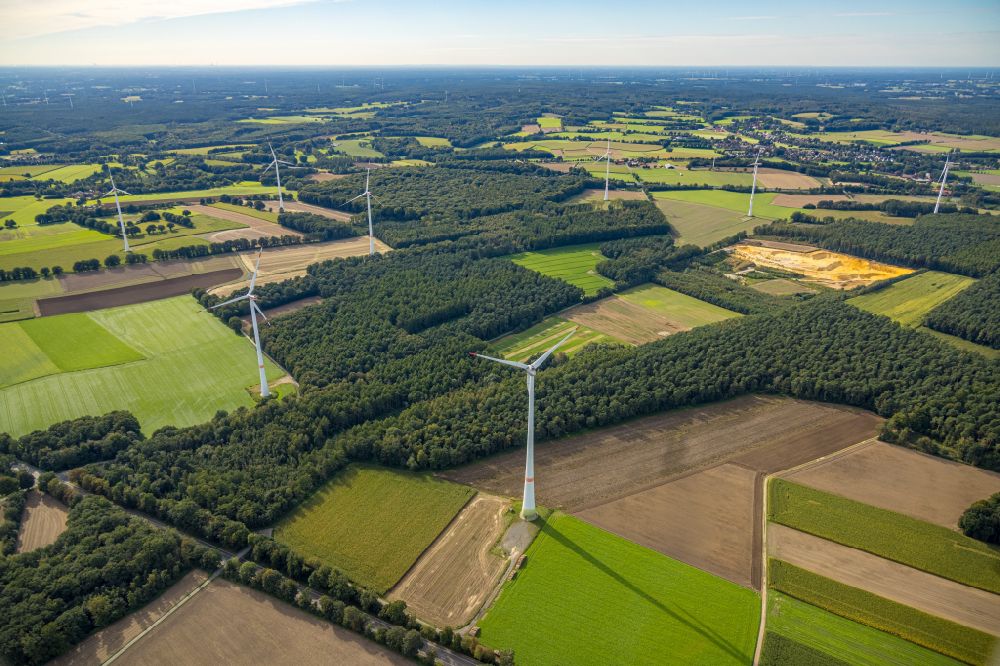 Haltern am See aus der Vogelperspektive: Windenergieanlagen (WEA) - Windrad- in einem Waldstück in Haltern am See im Bundesland Nordrhein-Westfalen, Deutschland