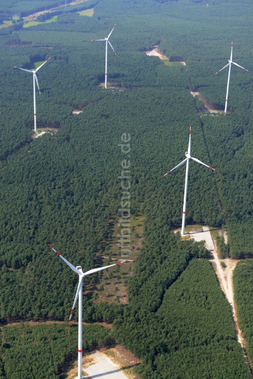 Sallgast aus der Vogelperspektive: Windkraftanlagen des Wald- Windparks Göllnitz-Lieskau-Rehain in Sallgast im Bundesland Brandenburg