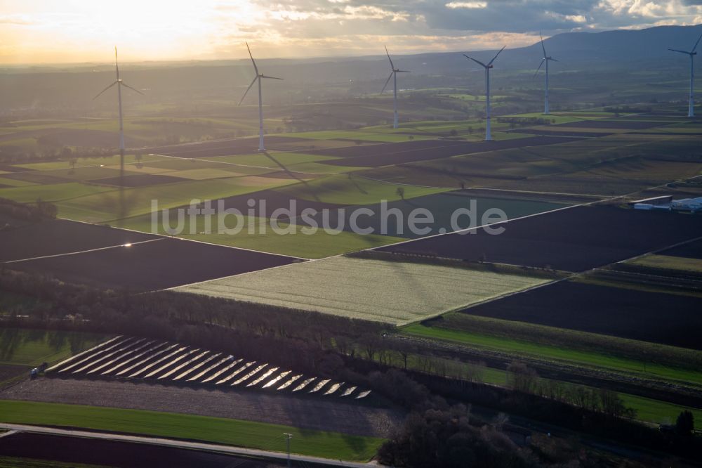 Luftbild Freckenfeld - Windpark Freckenfeld der EnBW - Windenergieanlage mit 6 Windrädern auf einem Feld in Freckenfeld vor einem Feld mit Photovoltaikanlagen im Bundesland Rheinland-Pfalz, Deutschland