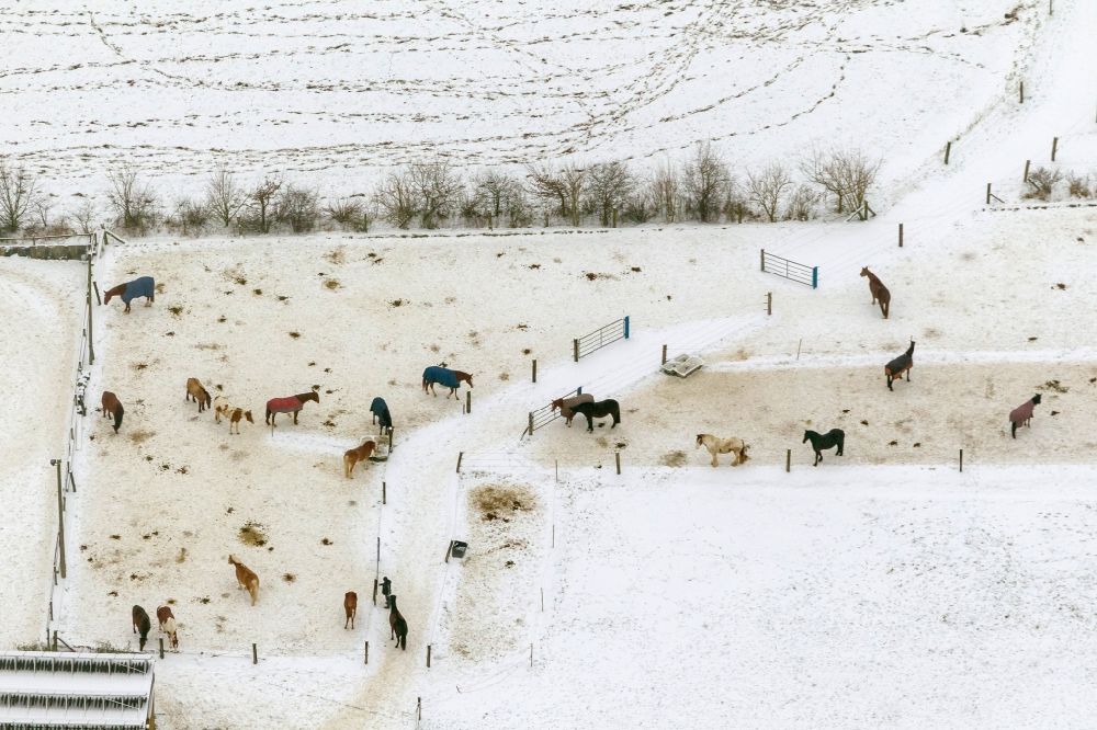 Essen OT Kettwig von oben - Winter- Landschaft des mit Schnee bedeckten Reiterhof / Pferdekoppel an der Laupendahler Landstraße in Essen - Kettwig im Bundesland Nordrhein-Westfalen NRW