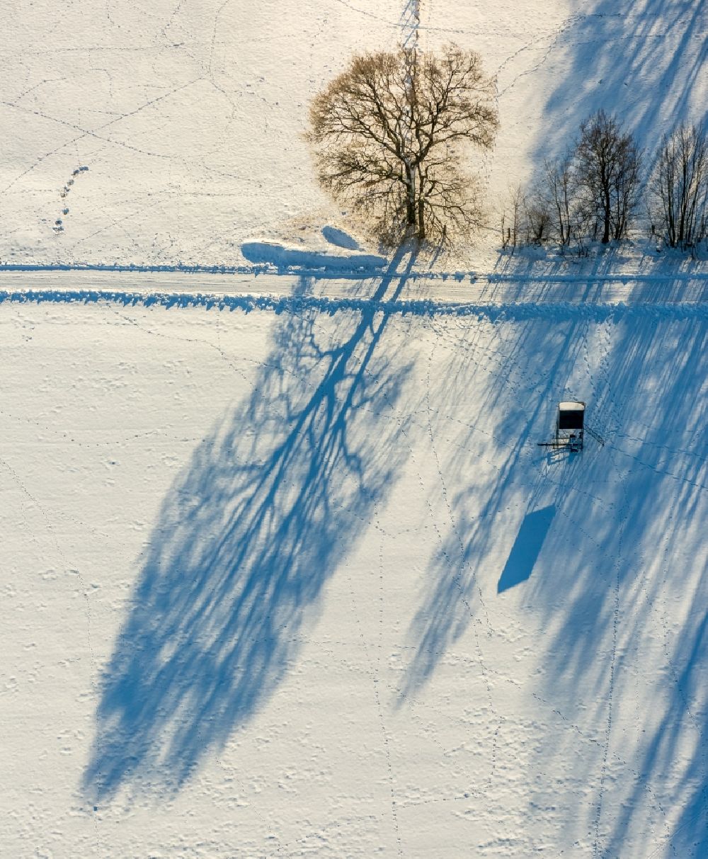 Warstein aus der Vogelperspektive: Winterlandschaft Baum mit Schattenbildung durch Lichteinstrahlung auf einem Feld in Warstein im Bundesland Nordrhein-Westfalen