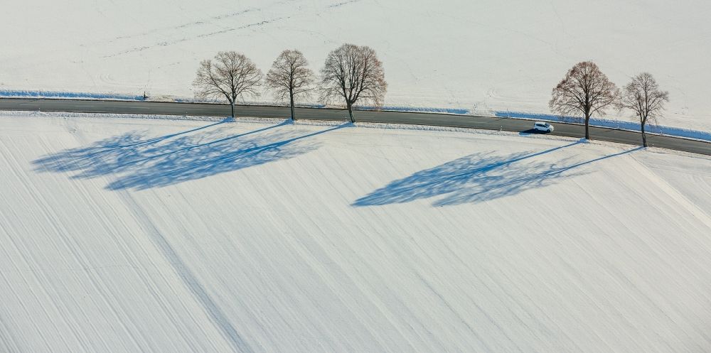 Luftbild Warstein - Winterlandschaft Baum mit Schattenbildung durch Lichteinstrahlung auf einem Feld in Warstein im Bundesland Nordrhein-Westfalen