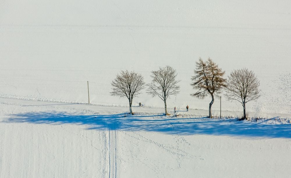 Warstein von oben - Winterlandschaft Baum mit Schattenbildung durch Lichteinstrahlung auf einem Feld in Warstein im Bundesland Nordrhein-Westfalen