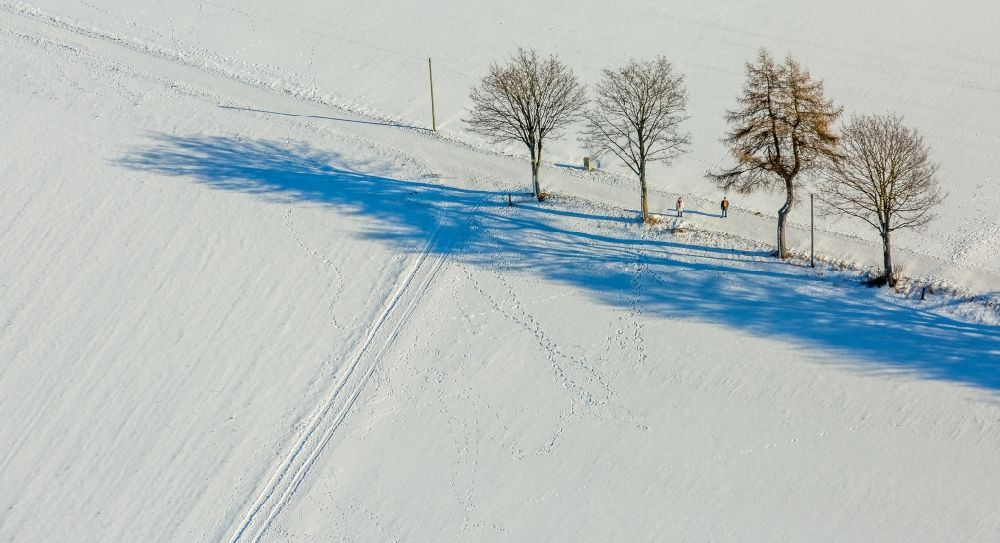Warstein aus der Vogelperspektive: Winterlandschaft Baum mit Schattenbildung durch Lichteinstrahlung auf einem Feld in Warstein im Bundesland Nordrhein-Westfalen