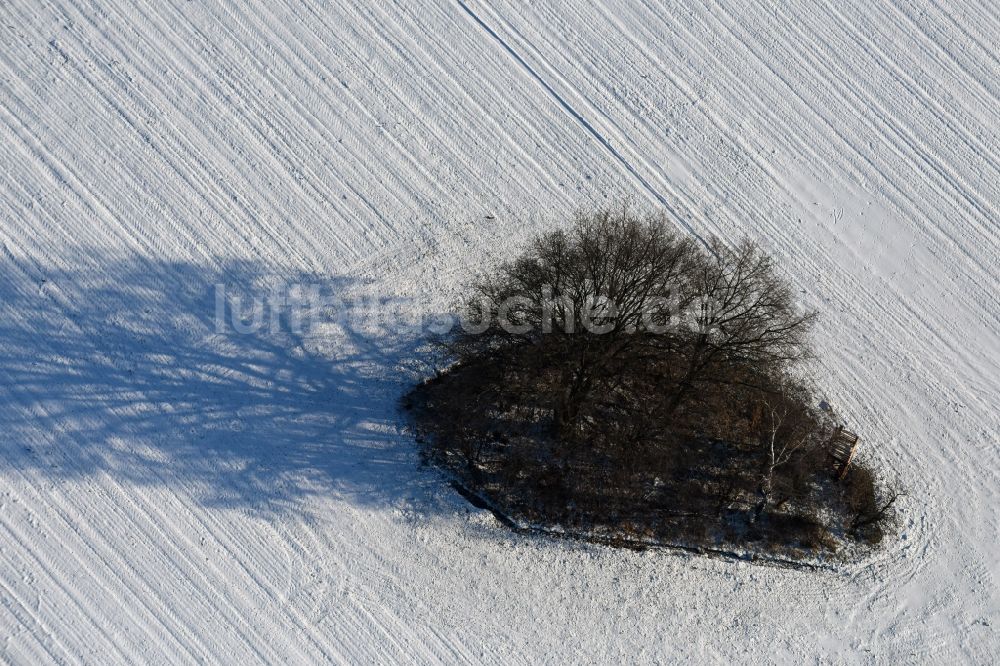 Luftaufnahme Roskow - Winterlich schneebedeckte Baum- Insel auf einem Feld in Roskow im Bundesland Brandenburg