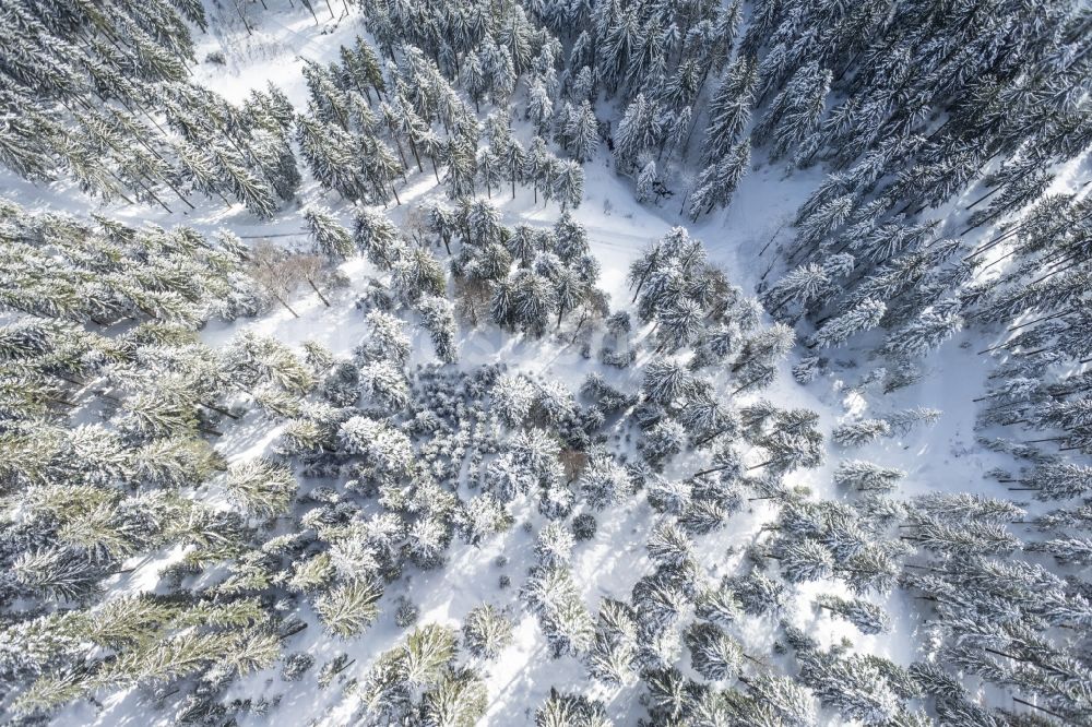 Luftaufnahme Achern - Winterlich schneebedeckte Baumspitzen in einem Waldgebiet in Achern im Bundesland Baden-Württemberg
