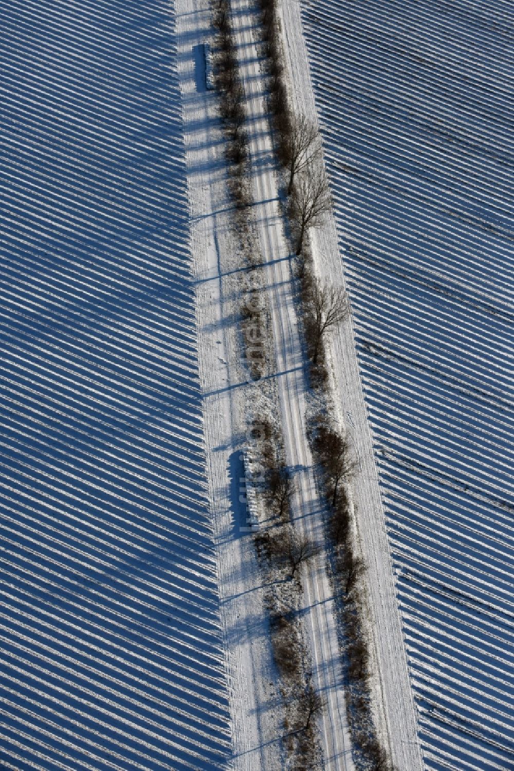 Roskow von oben - Winterlich schneebedeckte Reihen mit Spargel- Anbau auf Feld- Flächen mit einer von Baumreihen gesäumten Allee, deren Bäume lange Schatten werfen in Lünow im Bundesland Brandenburg