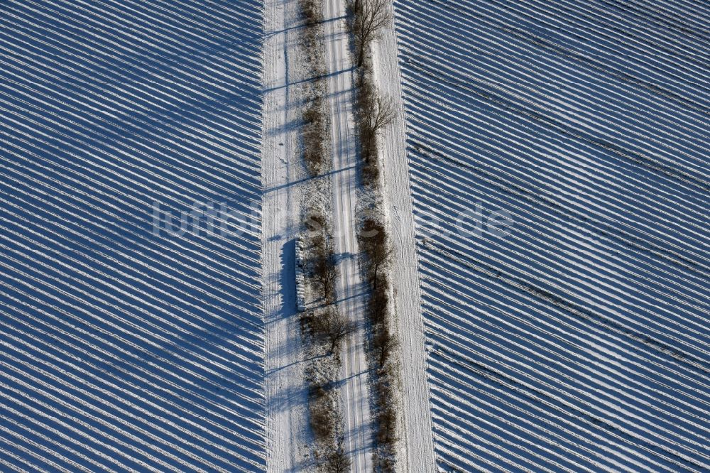 Roskow aus der Vogelperspektive: Winterlich schneebedeckte Reihen mit Spargel- Anbau auf Feld- Flächen mit einer von Baumreihen gesäumten Allee, deren Bäume lange Schatten werfen in Lünow im Bundesland Brandenburg