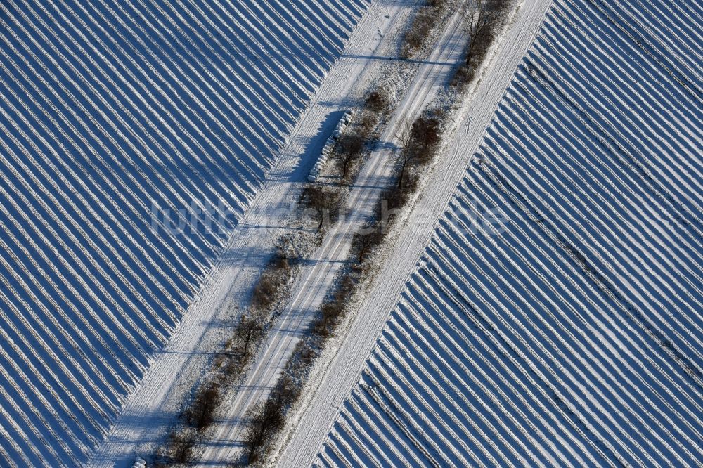 Luftaufnahme Roskow - Winterlich schneebedeckte Reihen mit Spargel- Anbau auf Feld- Flächen mit einer von Baumreihen gesäumten Allee, deren Bäume lange Schatten werfen in Lünow im Bundesland Brandenburg