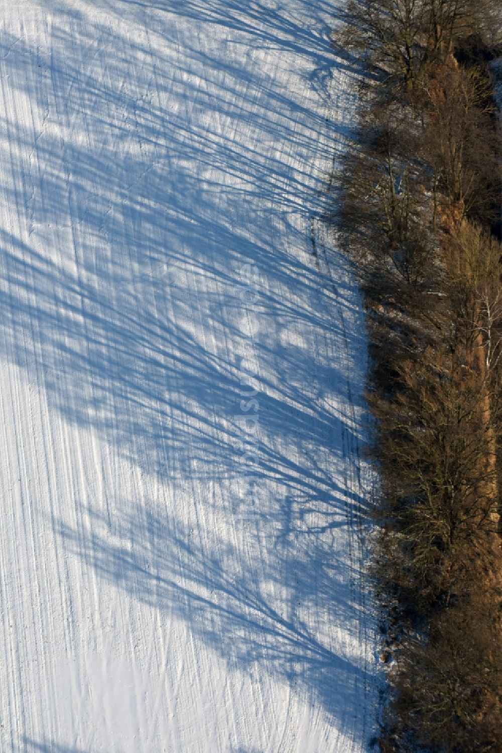 Luftbild Roskow - Winterlich schneebedeckte Reihen mit Spargel- Anbau auf Feld- Flächen mit Bewässerungsgraben und Baumreihen, die lange Schatten werfen und Meloration in Roskow im Bundesland Brandenburg