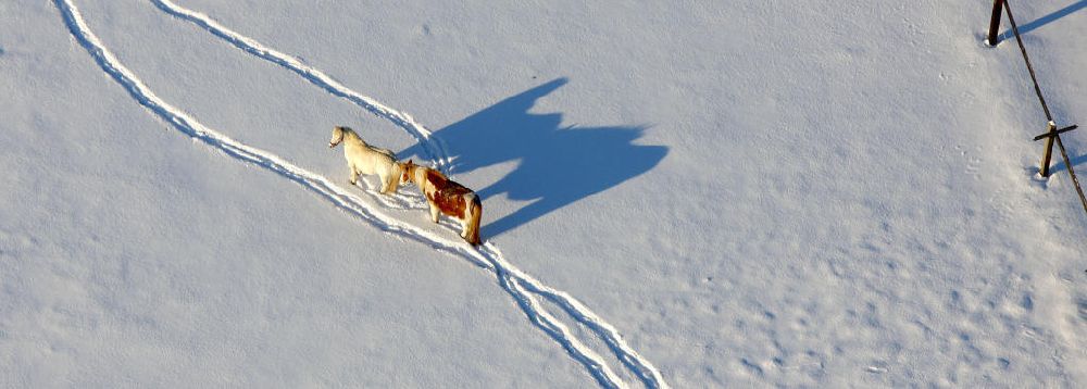 Luftaufnahme Hattingen - winterlich verschneite Pferdekoppel Homberg an der DGB Schule Hattingen