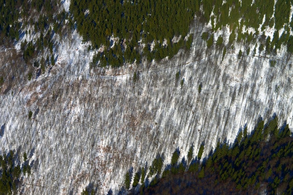 Schleusegrund aus der Vogelperspektive: Winterlich verschneiter Wald bei Schleusegrund im Bundesland Thüringen