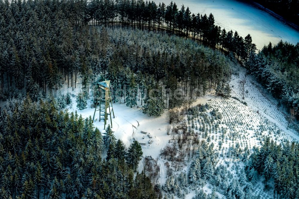 Freiamt aus der Vogelperspektive: Winterluftbild Aussichtsturm am Hünersedel in Freiamt im Bundesland Baden-Württemberg, Deutschland
