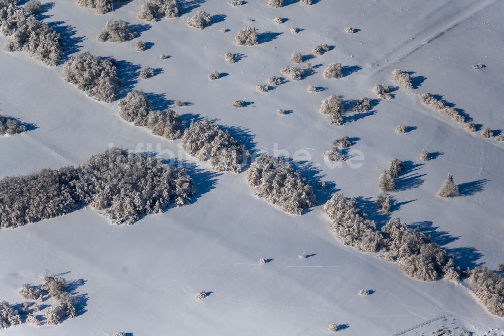 Oberweißenbrunn aus der Vogelperspektive: Winterluftbild Bäume mit Schattenbildung durch Lichteinstrahlung auf einem Feld in Oberweißenbrunn im Bundesland Bayern, Deutschland