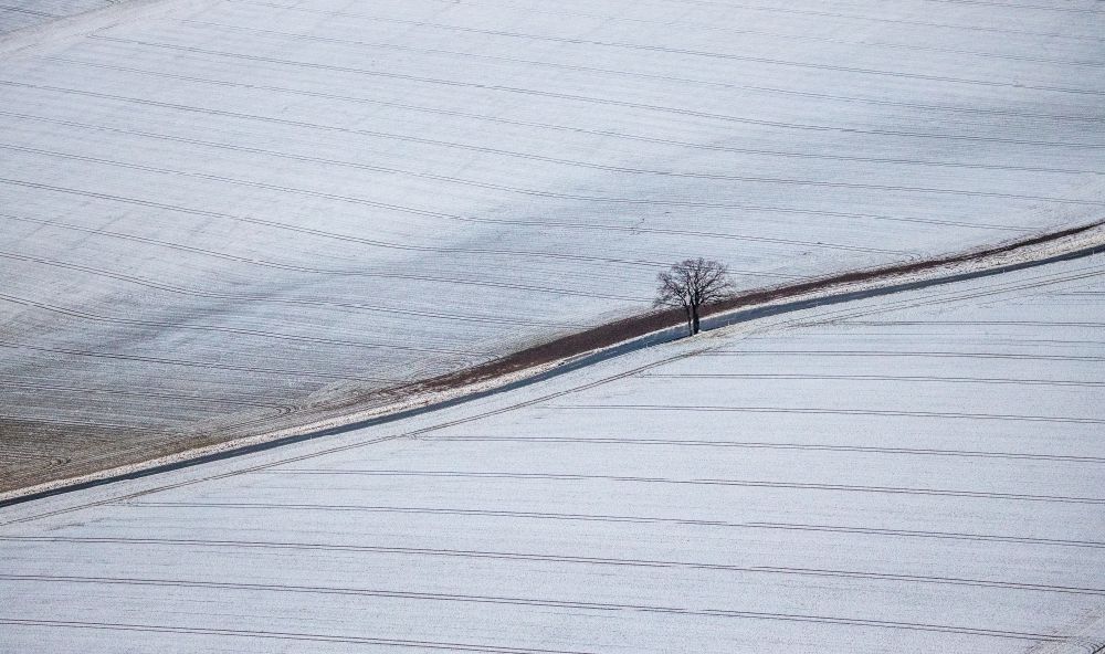 Berlingsen aus der Vogelperspektive: Winterluftbild Baum auf einem Feld in Berlingsen im Bundesland Nordrhein-Westfalen, Deutschland