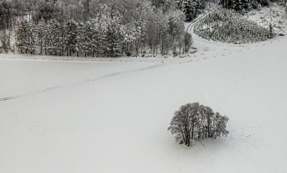Berlar aus der Vogelperspektive: Winterluftbild Baum- Insel auf einem Feld in Berlar im Bundesland Nordrhein-Westfalen, Deutschland
