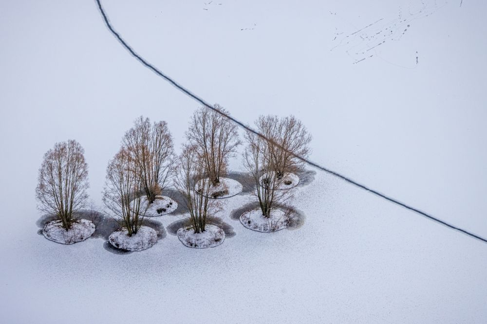 Dortmund aus der Vogelperspektive: Winterluftbild Baum- Insel auf dem zugefrorenen Phoenix See in Dortmund im Bundesland Nordrhein-Westfalen, Deutschland