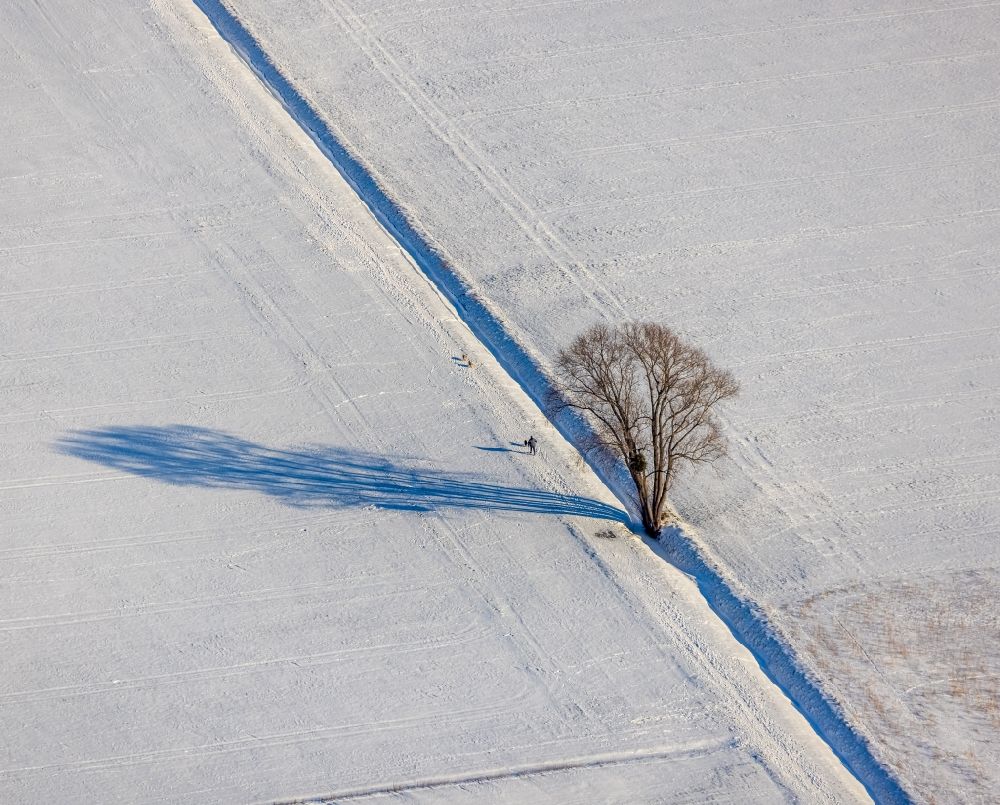 Luftbild Osttünnen - Winterluftbild Baum mit Schattenbildung durch Lichteinstrahlung auf einem Feld bei Osttünnen im Bundesland Nordrhein-Westfalen, Deutschland