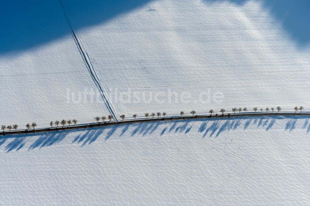 Luftaufnahme Tilleda (Kyffhäuser) - Winterluftbild Baum mit Schattenbildung durch Lichteinstrahlung auf einem Feld in Tilleda (Kyffhäuser) im Bundesland Sachsen-Anhalt, Deutschland