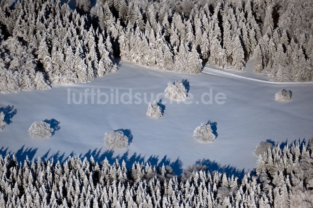 Luftbild Gersfeld (Rhön) - Winterluftbild Baum mit Schattenbildung durch Lichteinstrahlung auf einer Lichtung in Gersfeld (Rhön) im Bundesland Hessen, Deutschland