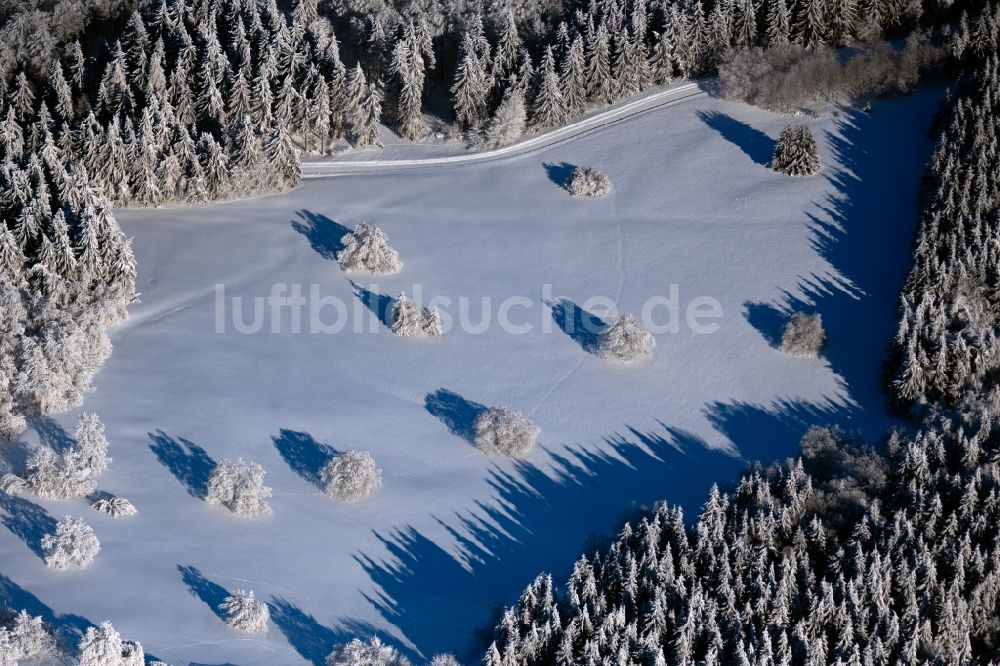 Luftaufnahme Gersfeld (Rhön) - Winterluftbild Baum mit Schattenbildung durch Lichteinstrahlung auf einer Lichtung in Gersfeld (Rhön) im Bundesland Hessen, Deutschland
