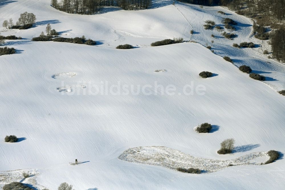 Luftbild Feldberger Seenlandschaft - Winterluftbild Baumreihe an einem Feldrand in Feldberger Seenlandschaft im Bundesland Mecklenburg-Vorpommern, Deutschland