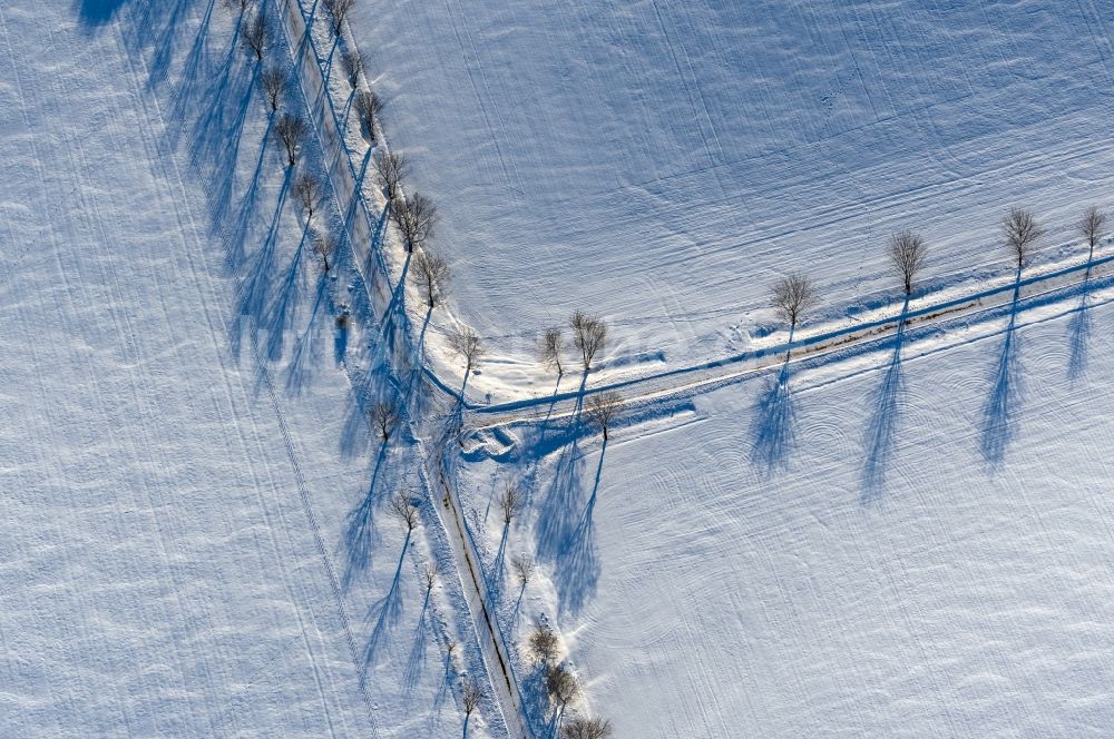 Kelbra (Kyffhäuser) aus der Vogelperspektive: Winterluftbild Baumreihe an einem Feldrand in Kelbra (Kyffhäuser) im Bundesland Sachsen-Anhalt, Deutschland