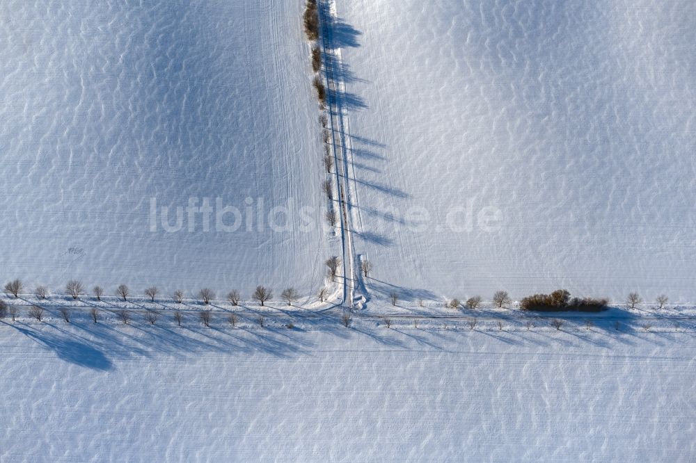 Luftbild Kelbra (Kyffhäuser) - Winterluftbild Baumreihe an einem Feldrand in Kelbra (Kyffhäuser) im Bundesland Sachsen-Anhalt, Deutschland