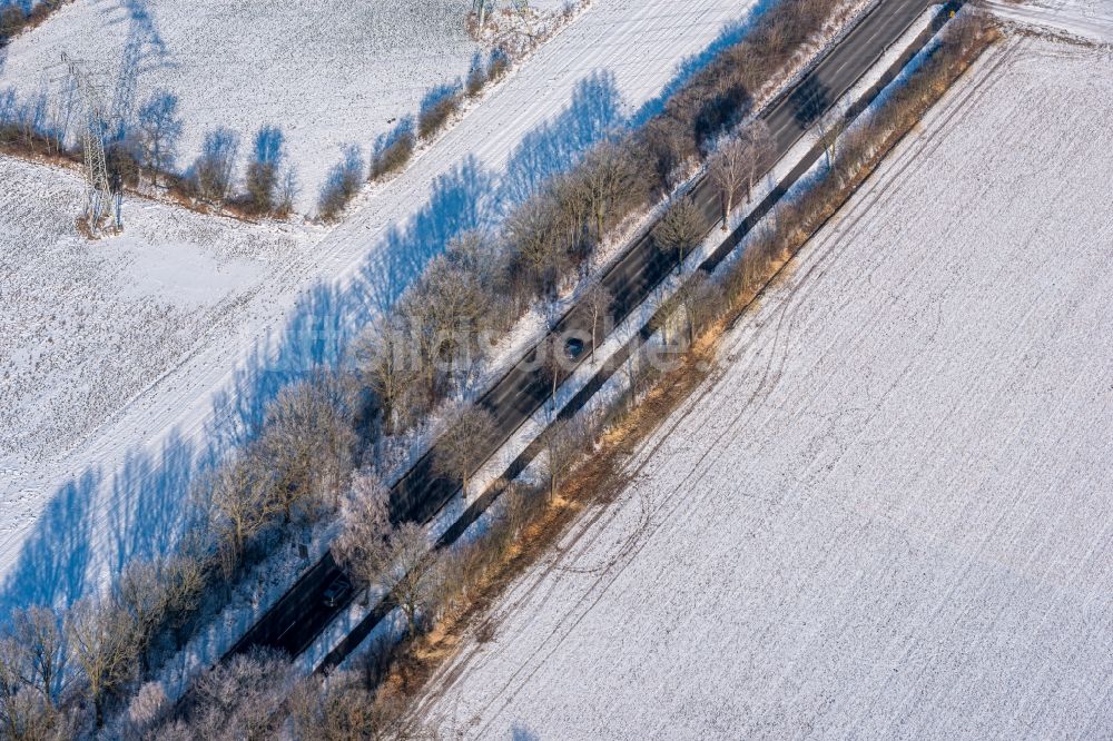 Deinste von oben - Winterluftbild Baumreihe an einer Landstraße an einem Feldrand in Deinste im Bundesland Niedersachsen, Deutschland