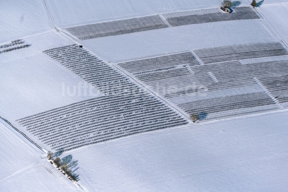 Dettelbach aus der Vogelperspektive: Winterluftbild Baumreihen auf Feldern in Dettelbach im Bundesland Bayern, Deutschland