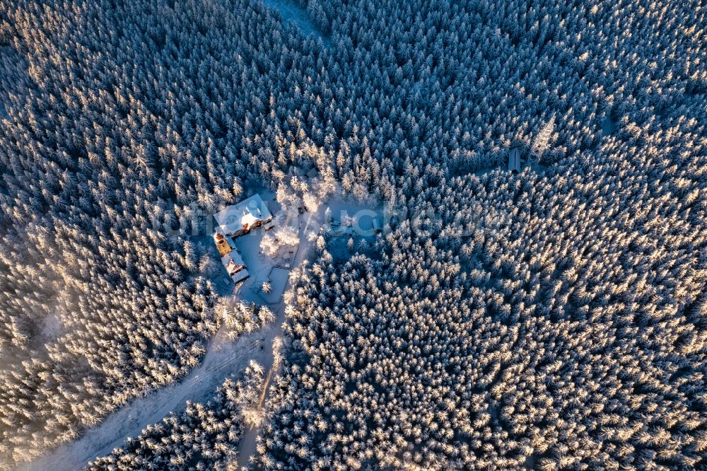 Smrzovka von oben - Winterluftbild Baumspitzen in einem Waldgebiet Cerná Studnice in Smrzovka in Liberecky kraj, Tschechien