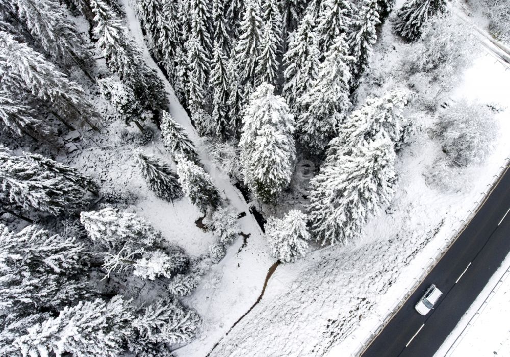 Sankt Andreasberg aus der Vogelperspektive: Winterluftbild Baumspitzen in einem Waldgebiet in Sankt Andreasberg im Bundesland Niedersachsen, Deutschland