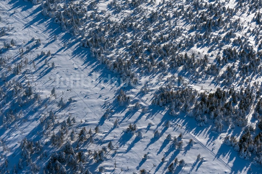 Luftaufnahme Schierke - Winterluftbild Baumspitzen in einem Waldgebiet in Schierke im Bundesland Sachsen-Anhalt, Deutschland