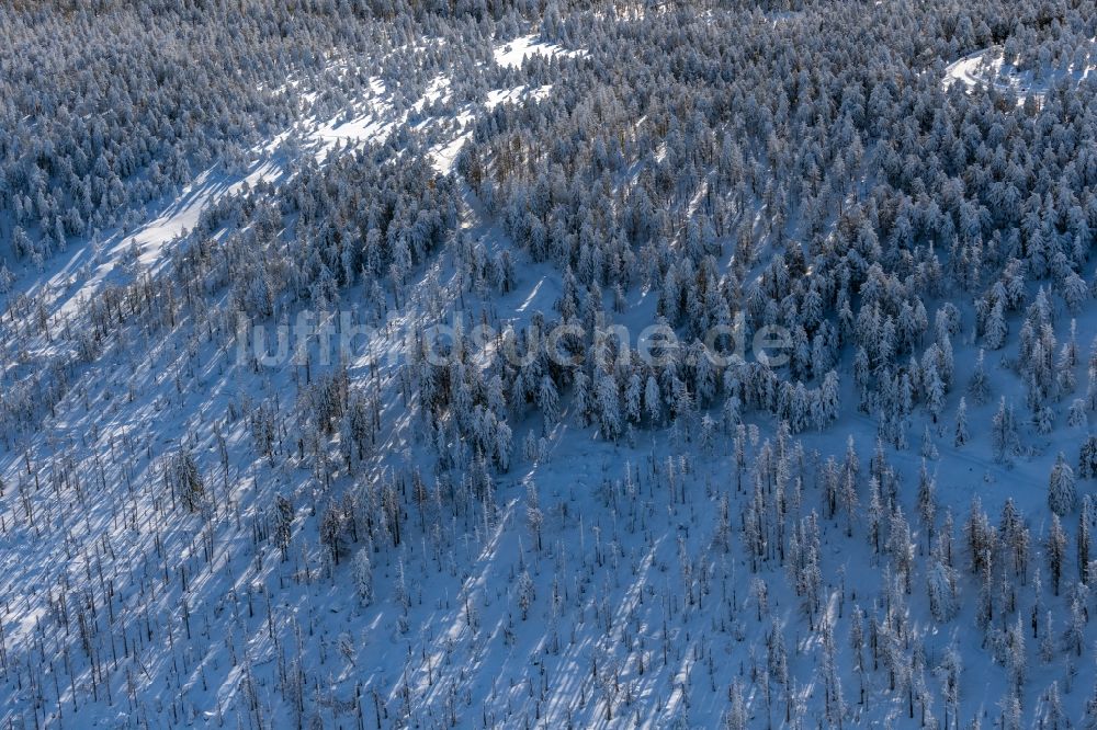 Schierke von oben - Winterluftbild Baumspitzen in einem Waldgebiet in Schierke im Bundesland Sachsen-Anhalt, Deutschland