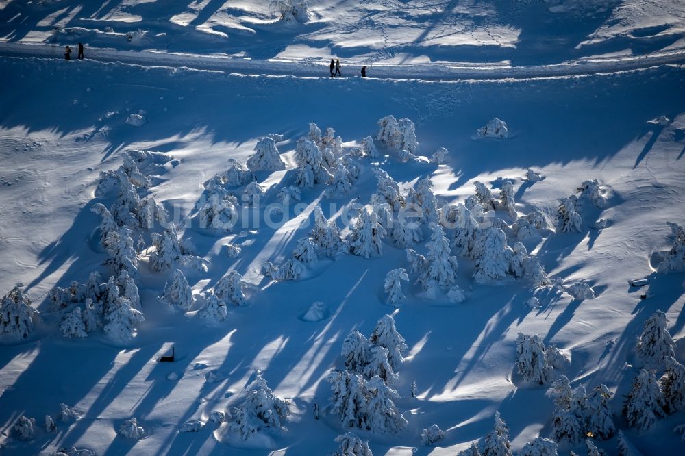 Luftaufnahme Schierke - Winterluftbild Baumspitzen in einem Waldgebiet in Schierke im Bundesland Sachsen-Anhalt, Deutschland