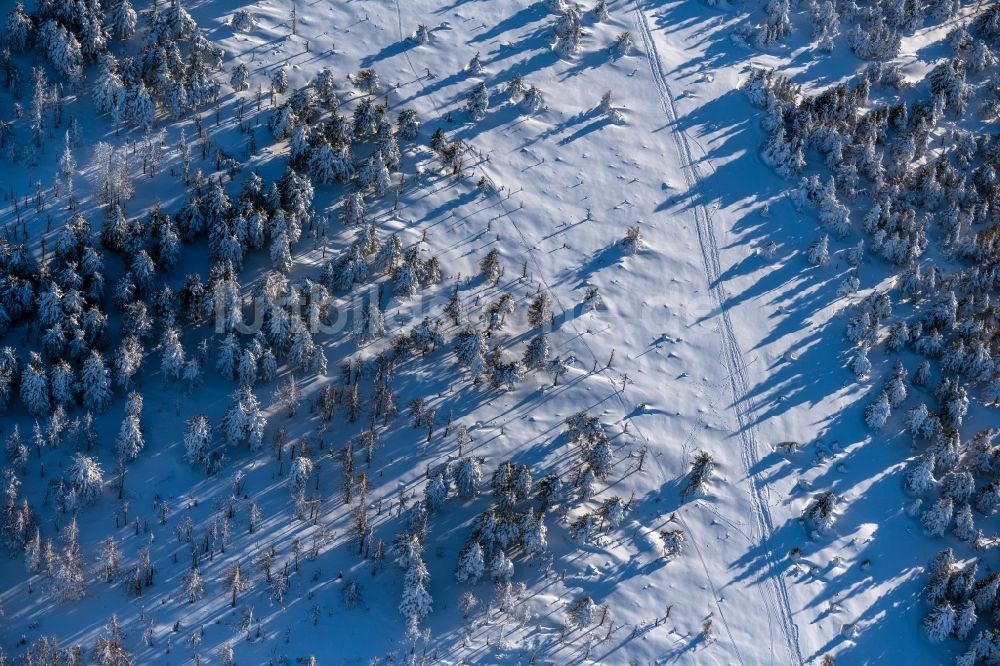 Luftbild Schierke - Winterluftbild Baumspitzen in einem Waldgebiet in Schierke im Bundesland Sachsen-Anhalt, Deutschland